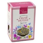 Čelové dutiny bylinný čaj sypaný 50g Serafin