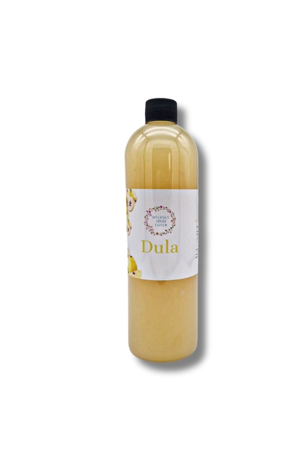 Šťava Dula 500ml Bylinky spod Tatier